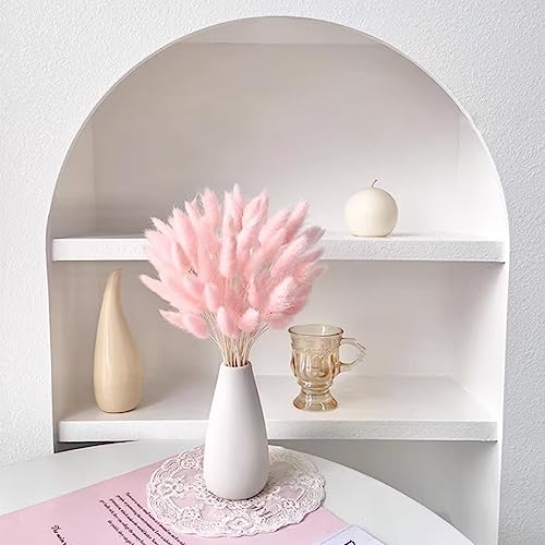 60PCS Rabbit Tail Grass Dried Flowers Dried Natural Floral Arrangement Bunch Decoration Dried Grass,Eternal Flower Dried Grass for Home,Wedding,Party,Flower Bouquet,Photo Props Decor (Light Pink) - Thumbnail 2