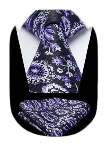 Image of HISDERN Ties for Men Paisley Tie and Pocket Square Woven Classic Floral Mens Ties Handkerchief Set Wedding Party Necktie