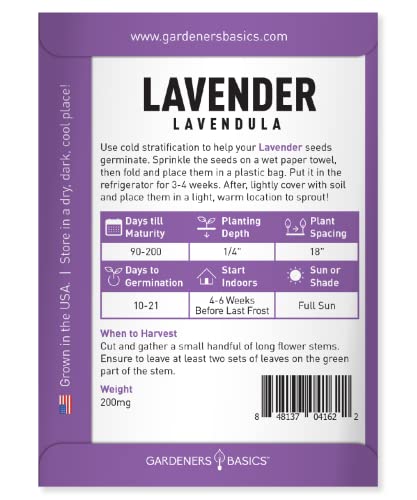 Gardeners Basics, English Lavender Seeds for Planting Indoors and Outdoors - Lavendula Flower Seeds are A Beautiful Shade of Purple Perennial Great for Pollinators and Herbal Tea Gardens - Thumbnail 2