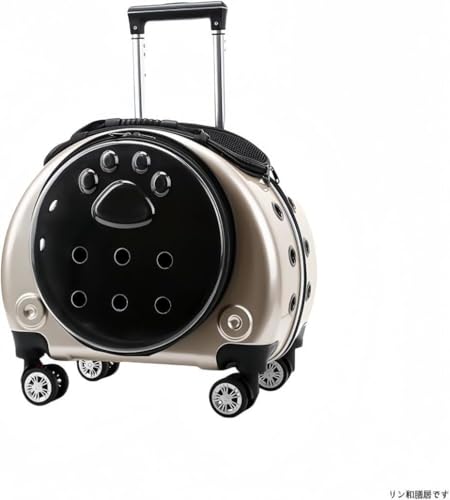 aVłyUVJbg&ʋCzFD^ybgL[obO Lp bN/ p}bgt ԍځEsEa@ (S-h)