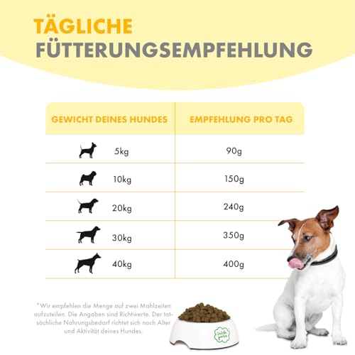 Glutenfreies Hundefutter Irish Pure Premium Trockenfutter 1,5kg