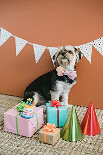 Image of Elegant little tail Colorful Dog Collar, Comfortable Dog Collar with Bow Adjustable Soft Bow tie Dog Collars for Medium Dogs