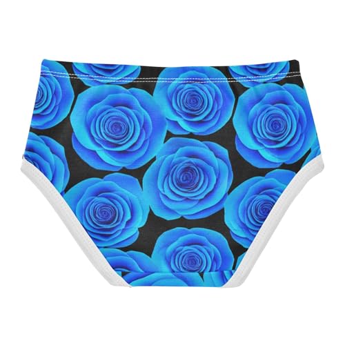 Toddler Girls Underwear 2t Cotton Girl Panties Cute Funny Briefs Underpants Blue Roses2