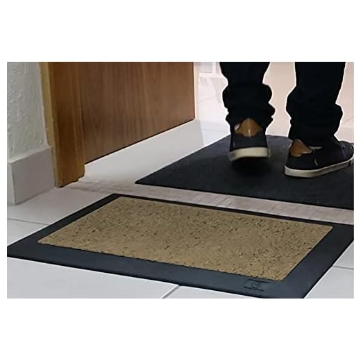 Tapete Sanitizante Pediluvio 60x40cm