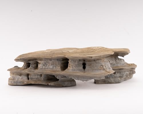 Märchenstein | Echter Stein Aquarium Deko | Naturstein für natürliche Aquarienlandschaft | 1 Stein | Größe:M 5-10kg