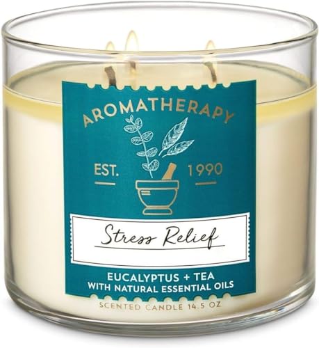 3-Wick Candles for Home Scented, Natural Soy Candle with Lemon and Sage for Purify The Mind and Relieve Stress, 60 Hour Burn Time, 300ml (Stress Relief) (B0CPDZYQ21) Amazon Price History, Amazon Price Tracker