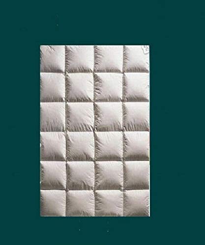 Hofmann anschmiegsame Ganzjahresdecke Daunendecke 4x6, 135x200 cm 980g Daunen Hofmann anschmiegsame Ganzjahresdecke Daunendecke 4x6, 135x200 cm 980g Daunen