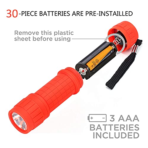 Fastpro 10-Pack, Super Bright 100-Lumen (1W) Led Mini Flashlight Set, 30-Pieces Aaa Dry Batteries Are Included And Pre-Installed #TOP3