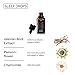 The Nue Co. - SLEEP DROPS - Natural Herbal Sleep Support - Catnip and Chamomile - Alcohol-Free, Vegan - 30ml - 50 Servings