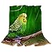 Produktbild Fleece-Überwurfdecke für Couch, leicht, flauschig, schöner Wellensittich am Baum