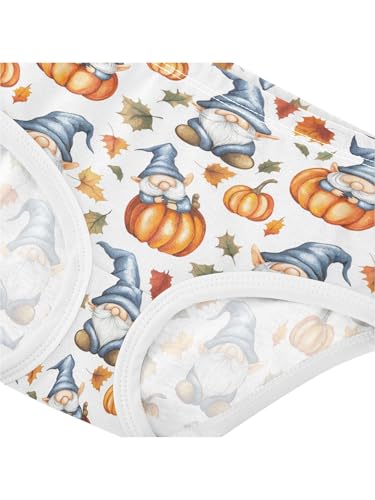 ZZKKO Blue Gnomes Orange Pumpkins Girls Underwear Toddler Panties for Girls Comfort Brief Size 2T4