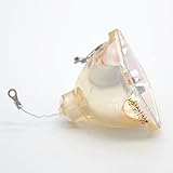 SeiZed Lampada del proiettore di Ricambio for Sony LMP-C190 CX61 CX63 CX80 CX85 CX86 VPL-CX61 VPL-CX63 VPL-CX80 VPL-CX85 VPL-CX86