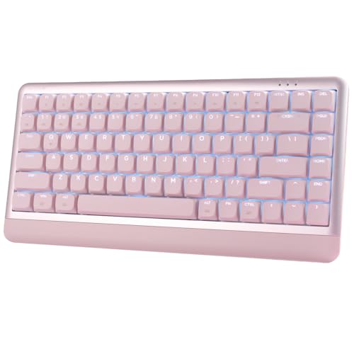 DAREU Low Profile Keyboard,84 Keys Mac Keyboard,Programmable...