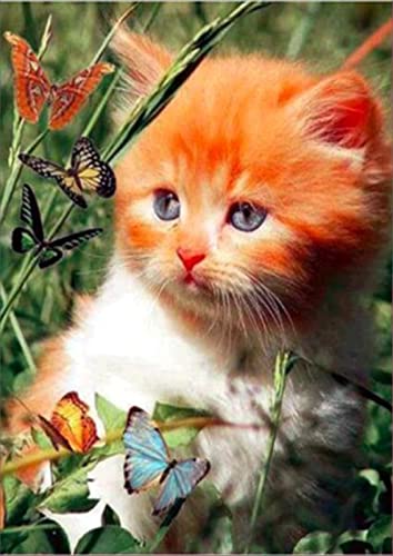 Kit Diamond Painting complet chat papillon 60x90cm Tinnoon