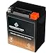 CB CHROMEBATTERY YTX14AHL-BS 12 V 210 CCA AGM – Maintenance-Free 14 Ah Battery for ATV, Motorcycle, Scooter, UTV – T3 Nut & Bolt Terminal – Fits Polaris Scrambler 90, Honda Spree, Kawasaki KLX110