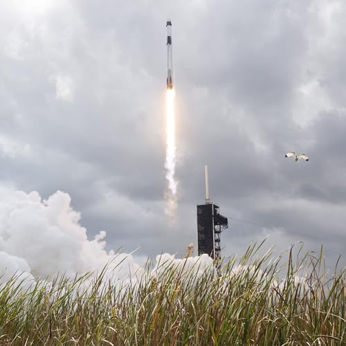 Bytes: Week in Review - SpaceX and xAI merge, Nvidia and OpenAI's funding relationship and U.S. TikTok's rough start