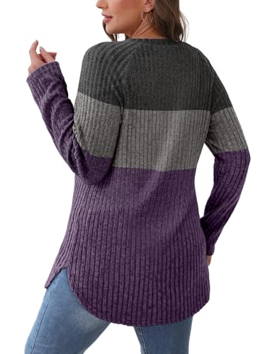 Image of Saloogoe Long Sleeve Shirts for Women 2025 Fall Clothes Tunic Tops Loose Fit Dressy Crewneck Pullover Sweaters Curved Hem