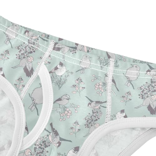 Boys' Exclusive Briefs Toddler Underwear 95% Combed Cotton Boxerbriefs 2T Bird Pattern 224