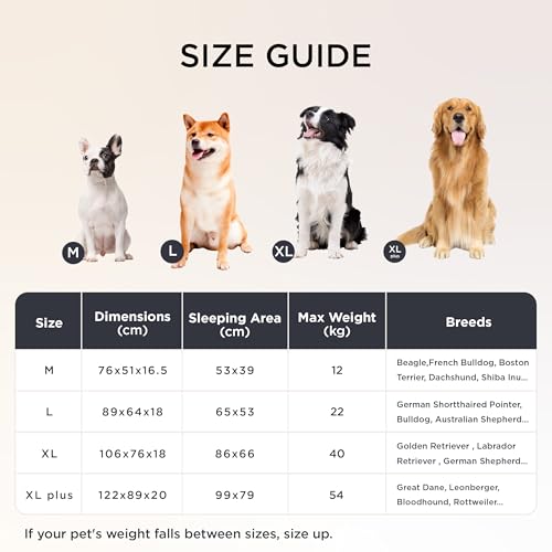 BEDSURE orthopädisches Hundebett Grosse Hunde - 89x64x18cm wasserdichtes Hundesofa mit Memory-Schaum & Eierkarton-Schaum, waschbarer und Abnehmbarer Cordbezug Hundecouch, Creme