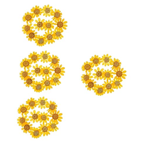 96 Flores Margaritas Secas Prensadas para Manualidades miniatura 1