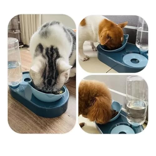 Bebedouro e Comedouro para Gatos 2 em 1, com garrafa 500ml, tigela inclinada antivômito, base alta,