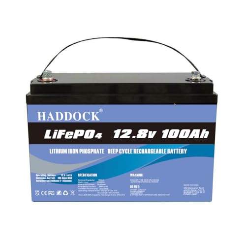 LiFePO4 Batterie 12V 100Ah, Lithium Eisenphosphat Batterie anstelle von Auto AGM Deep Cycle Batterie , für Wohnmobil, Boot, Solaranlage usw