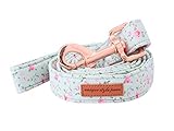 Unique style paws Durabel Dog Leash Matching Collar 6 Colors and 3 Size Soft and Comfy Handle for Dogs and Cats