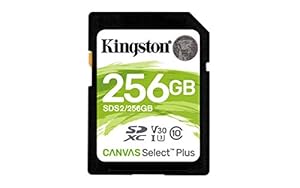 Kingston SDHC-Speicherkarte Canvas Select Plus, 256 GB, 100 MB/s, Leseklasse 10, UHS-I U1 V10, mit frustfreier Verpackung (SDS2/256GBET)