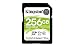 Kingston SDHC-Speicherkarte Canvas Select Plus, 256 GB, 100 MB/s, Leseklasse 10, UHS-I U1 V10, mit frustfreier Verpackung (SDS2/256GBET)