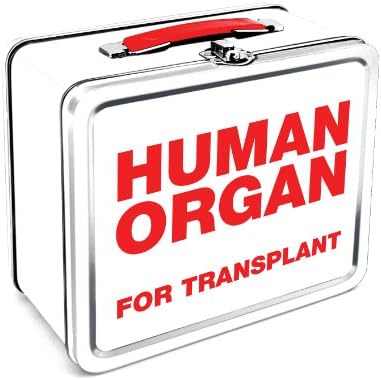 Aquarius Human Organ Large Tin Fun Box image 2