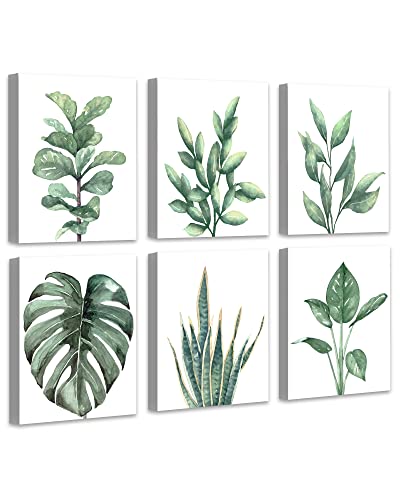 Drsoum Botanical Canvas Framed Wall Art | Watercolor Green Leaf Tropical Plant Prints | Boho Wall Decor For Bedroom | Minimalist Prints For Bathroom | Light Green Art Painting For Kitchen | Modern Home Office Decorations | Set Of 6 | 8”X 10” #TOP30