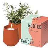 Modern Sprout Rooted Candle - 2 in 1 Cucumber Scented & Soy Candle with Seeds That Grows into Rosemary Plant - 6 oz w/ 42 Hr Burn Time in Matte Glaze Ceramic Vessel Ideal for Indoor Herb Garden