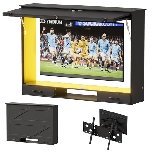 PAKASEPT Outdoor TV Enclosure, 55 inch Wood Outdoor TV Cover witn Lock & Dual-Arm Mounting Bracket & Three Color Light for Maximum 58 Inch Television Screens for Outside, Black