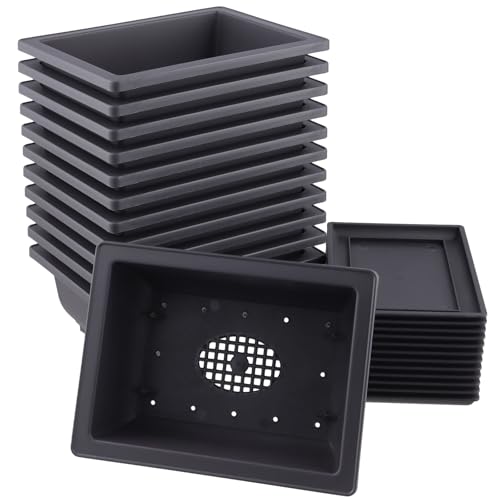 SINJEUN 12 Set Bonsai Schale 16 5 x 12 x 6 cm Trainingstöpfe aus Kunststoff mit Untersetzer Purpurfarbener Sand Rechteckige Bonsaitöpfe für Gärten