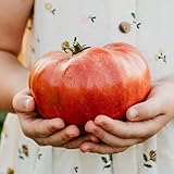 Mortgage Lifter Heirloom Tomato - 50 Seeds - Heirloom Pink Tomato Variety, Non-GMO Giant Tomato Seeds for Planting in The Home Garden, Thresh Seed Company