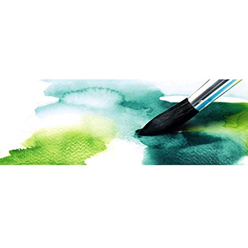 Amazon.co.jp: ShinHan Art プロフェッショナル 水彩絵の具