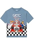 Paw Patrol Camisetas Niño, Skye, Chase E Marshall Camiseta Niño Manga Corta, Gris 3-4 años