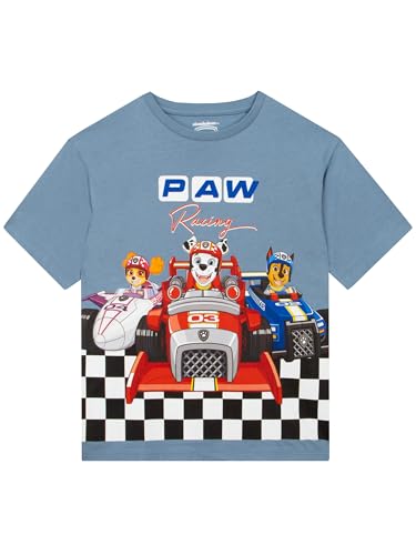 Paw Patrol T Shirt Enfant Garcon, Skye, Chase Et Marshall T-Shirts à Manches Courtes Garçon, Gris 3-4 Ans