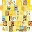 Yellow 50 Set