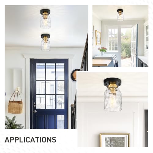 Image of zeyu 2-Pack Small Ceiling Lights, Water Ripple Glass, ZG33F-2 BK+BG-WG