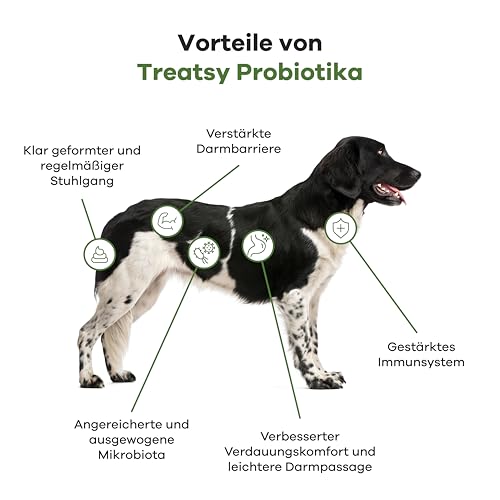 Treatsy Futterergänzungsmittel für Hunde Verdauung - Gegen Durchfall & Verstopfung - Präbiotika, Probiotika, Postbiotika, Psyllium - Von Tierkliniken empfohlen - 60 Hähnchen-Leckerlis