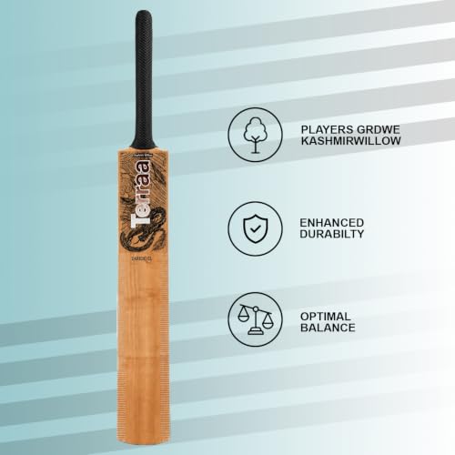 Image of Daredevil Kashmir Willow Cricket Bat for Men & Boys - Premium Double Blade Wooden Cricket Bat with Smooth Swing, Thick Edges, Lightweight Balanced Pickup, Professional Match Practice Bat