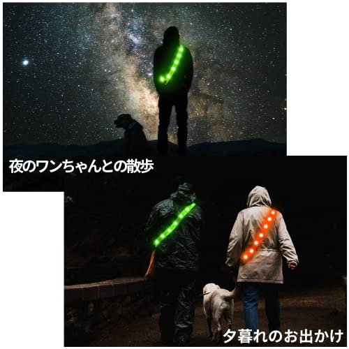 TERUI LIGHTS Osaka LED 反射 タスキ ライト 充電式 反射 バ