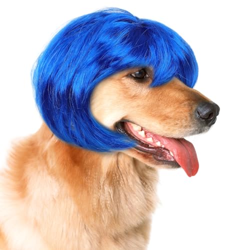 OHPHCALL ybgp킢EBbO wbhANZT[ LpRX`[ BepXq nEB CxgK