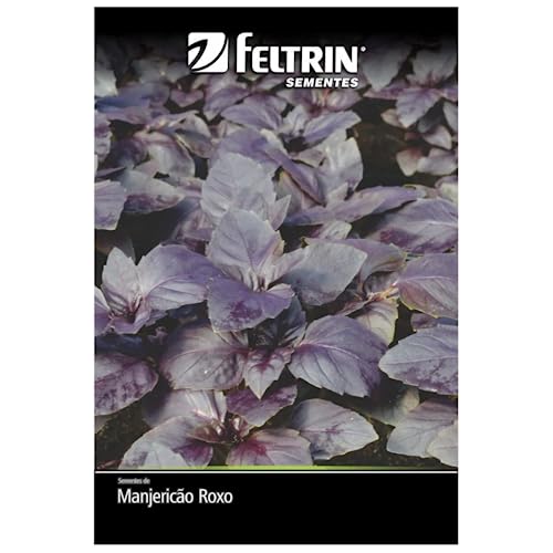 Kit 4 Sementes Temperos Horta Em Casa (Orégano, Tomilho, Sálvia, Manjericão Roxo)