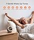 Dreamegg White Noise Machine Baby, Klangmaschine für Erwachsene & Leichtschläfer, Wecker & Nachtlicht, 25 beruhigende Klänge Einschlafhilfe Babys Erwachsene, 7 Töne zum Aufwachen, Dimmbares Display