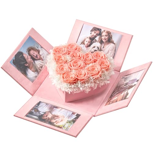 Eterfield 12-Piece Preserved Roses in an Explosion Box Forever Flowers Last Over a Year Preserved Flowers for Delivery Prime Mothers Day Valentines Day (Champagne Roses, Square Pink Box)