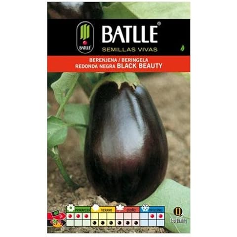 Semillas Batlle Berenjena REDONDA Black Beauty Cover