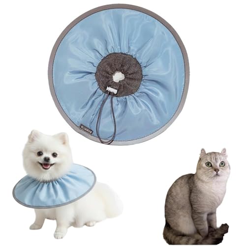 LifetipsAJJ[L AJ[Lp GUxXJ[ h \tg y pPA ی Ȃߖh~ p EȒP 􂦂 PAJ[(xr[u[j(Lj