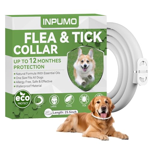 Collier Anti Puces pour Chien 12 Mois de Protection, Collier Anti Tique Chien Réglable et Étanche, Convient à Toutes Tailles de Chiens, 65cm (1pcs)